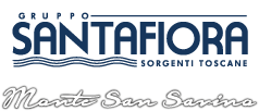 Fonte Santafiora Spa: Acque minerali